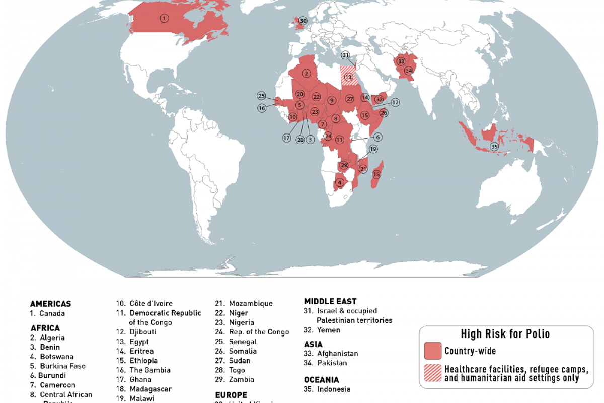 Polio Global Map (15) 